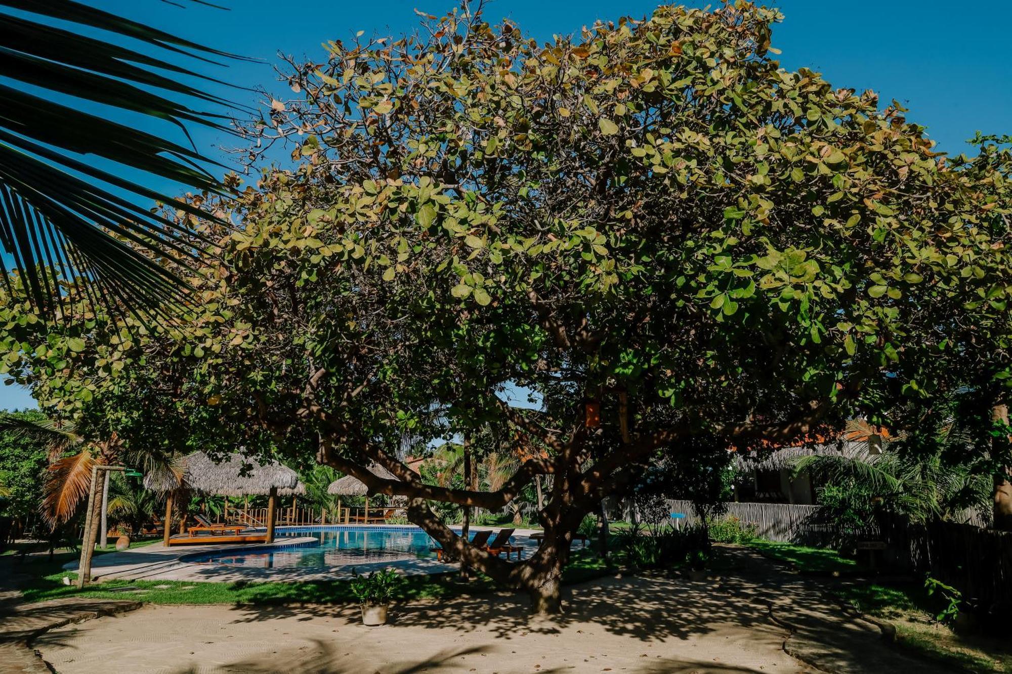 Casas Capulana Villa Icarai  Luaran gambar